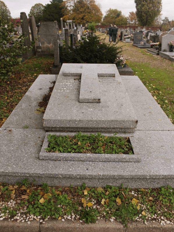 Tombe envahie par la mousse et les mauvaises herbes avant nettoyage
